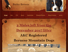 Tablet Screenshot of burleyberners.com